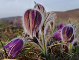 Zufallsbild