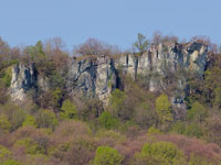 Leutenbacher Wand